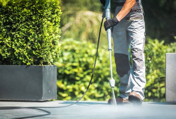 Animal Enclosure Cleaning in Longboat Key, FL